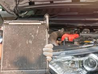Soft Gaskets
